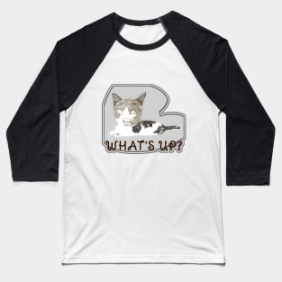 Feline Conversations Baseball T-Shirt